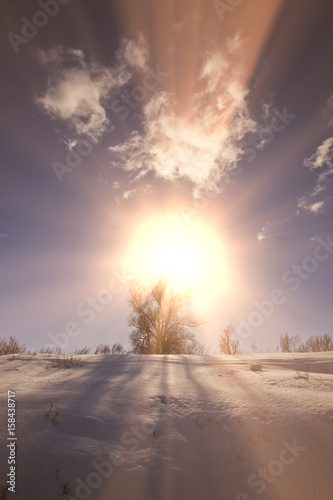 winter sunny landscape © salman2