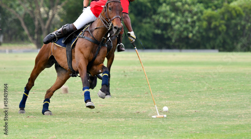 polo player Play in games.