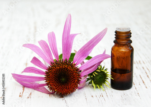 bottle with essence oil with purple echinacea