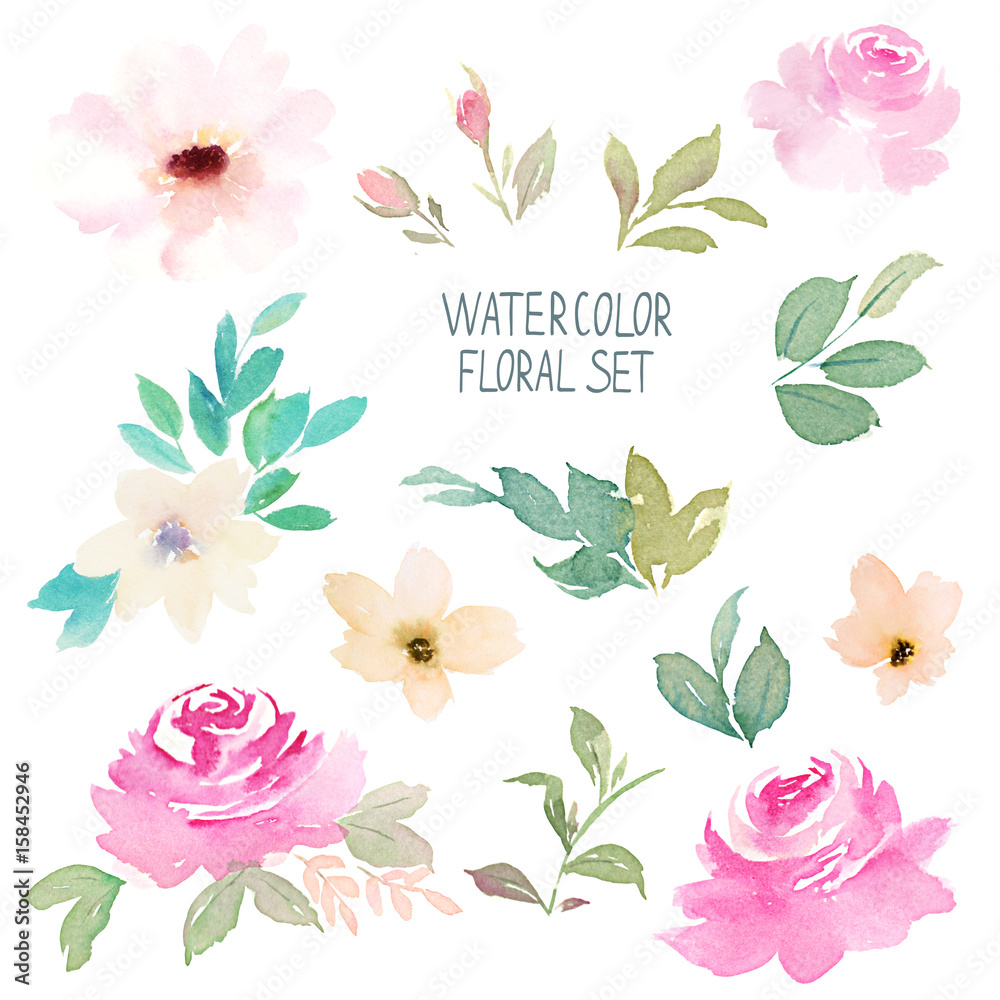 Watercolor floral set. Hand drawn illustration