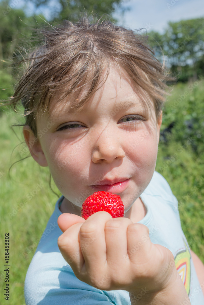 croquer les fraises du jardin croquer les fraises du jardin