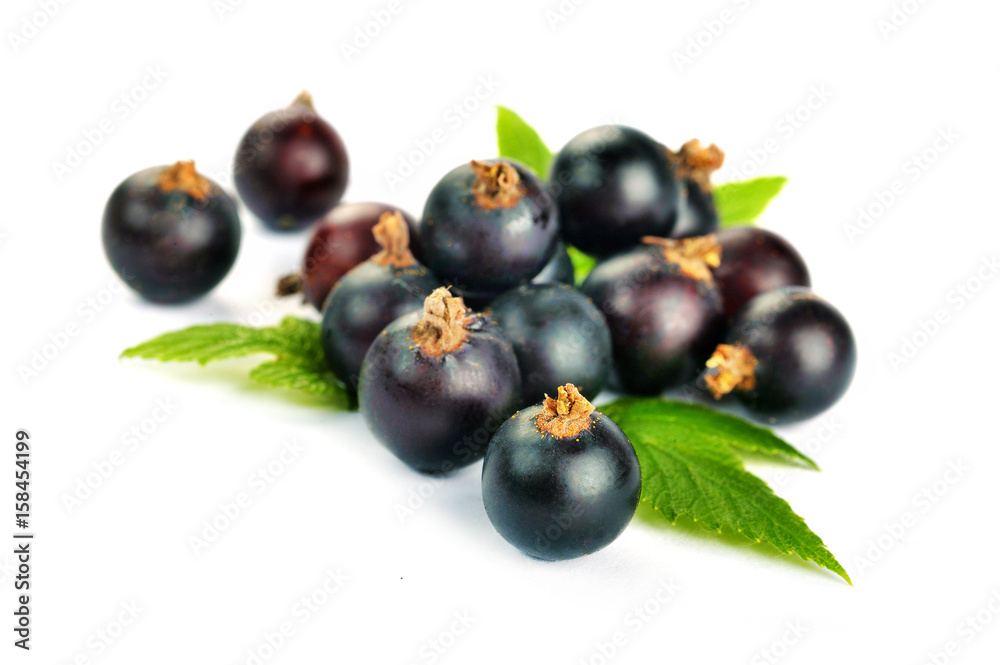 Black Currant Berries. Bunch of black currant fruits with leaf Black Currant Berries. Bunch of black currant fruits with leaf