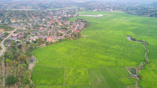 Rice field near city in bird eye view