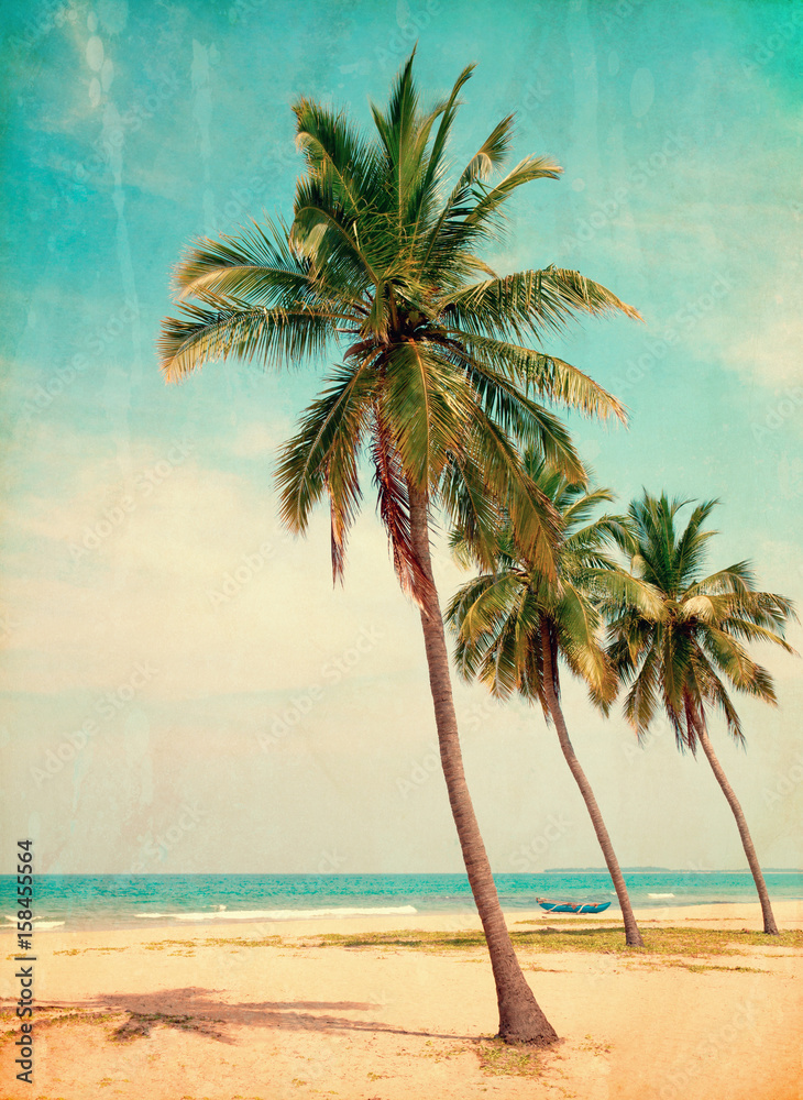 Obraz premium Coconut tree on the sky background- - retro styled picture