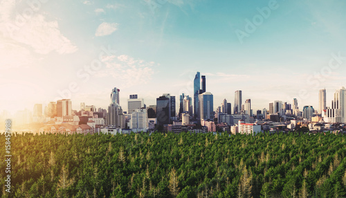 Modern buildings in the city with forests in sunrise