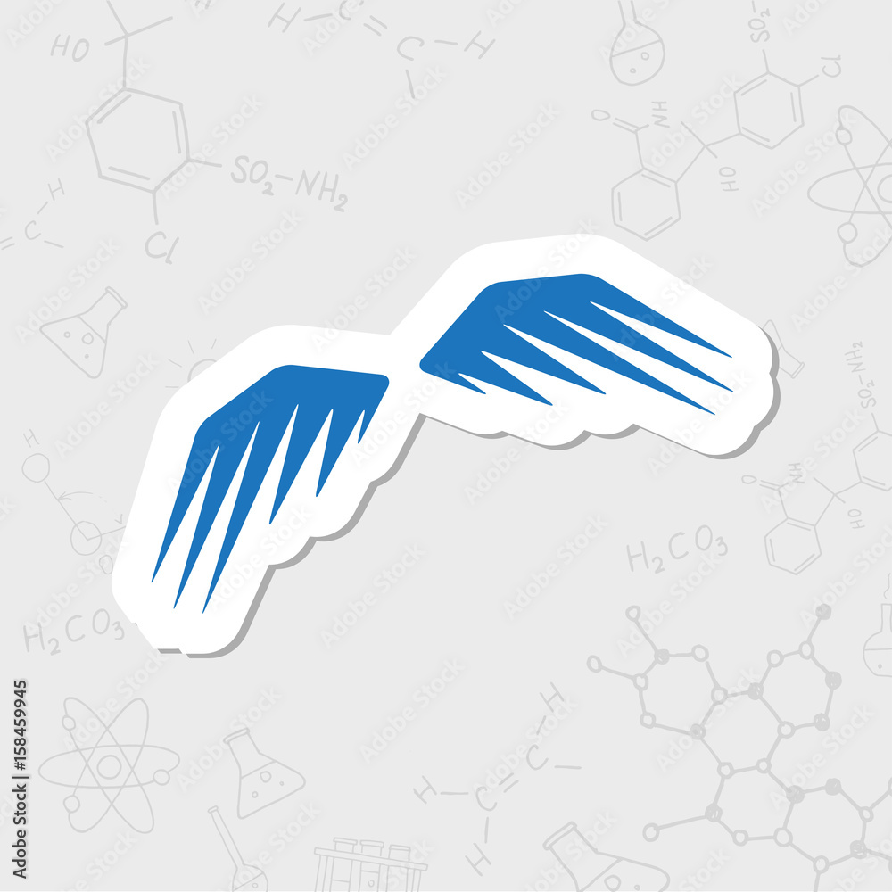 Obraz premium Vector wings icon