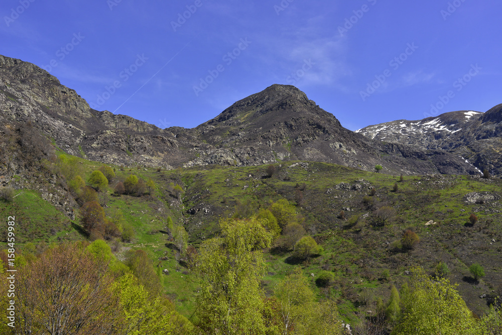 Naissance du Printemps dans les Pyrénées Ariégeoises, département de l'Ariège en région Occitanie, France Naissance du Printemps dans les Pyrénées Ariégeoises, département de l'Ariège en région Occitanie, France