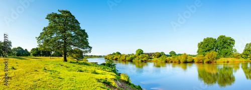 Fototapeta Krajobraz w lecie z rzeką, łąką i drzewem
