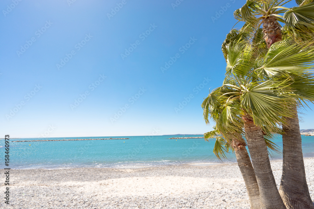 Fototapeta premium Drei Palmen am Strand mit Freiraum ( Saint-Laurent-du-Var, Frankreich )
