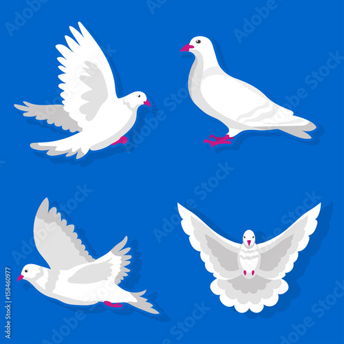 Pigeons or white dove birds flying vector flat isolated icons © Sonulkaster