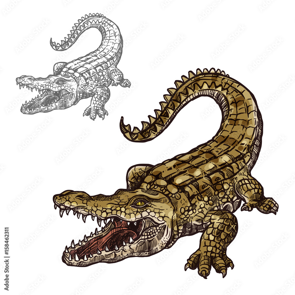 Crocodile alligator vector isolated sketch icon - obrazy, fototapety, plakaty 