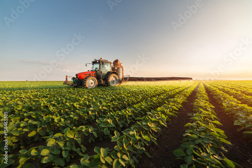 Foto Tractor spraying soybean field at spring