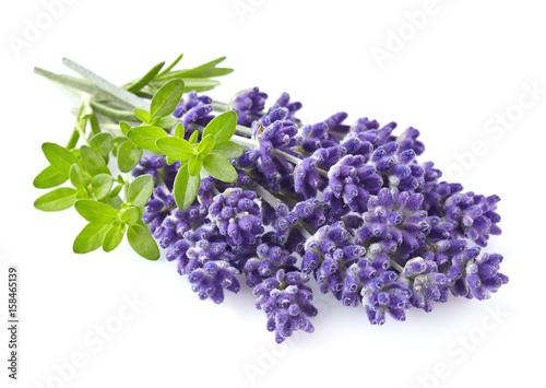 Lavender with thyme