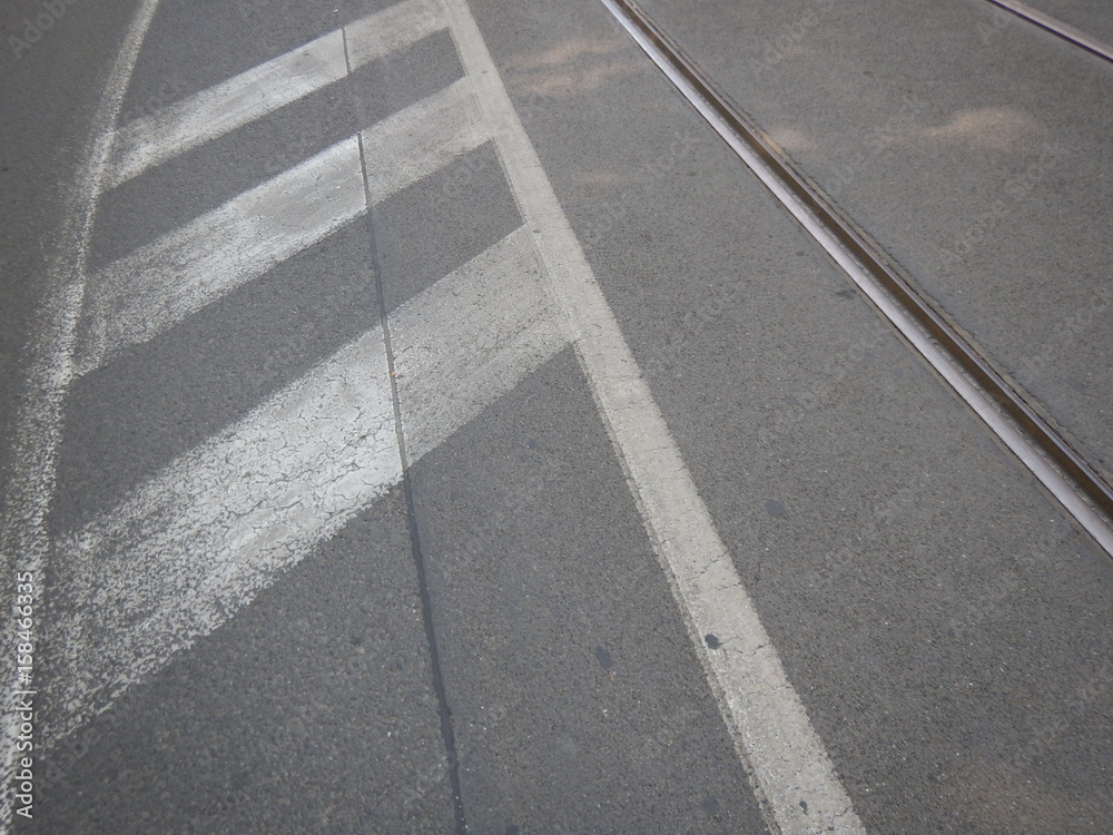 Fototapeta premium white line on an asphalted road