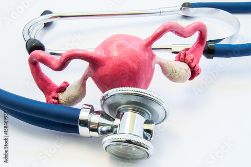Принти на полотні Anatomical 3D volume shape of womb or uterus with ovary near stethoscope, which examines it
