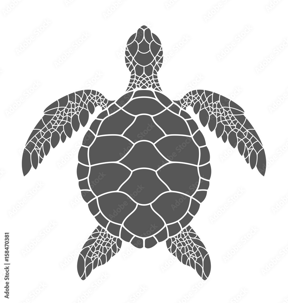Naklejka premium Żółw morski