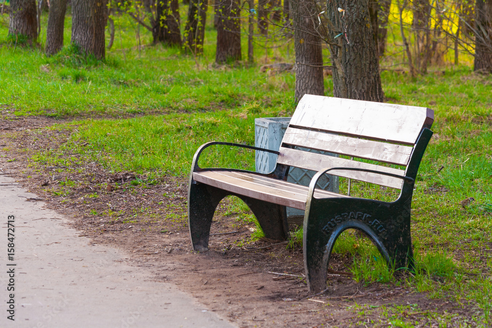 Wooden bench in a city Park