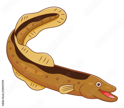 Cartoon cute eel