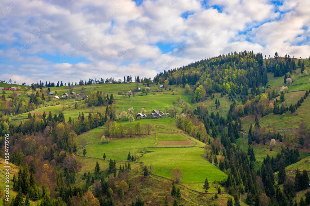 Transylvania countryside, Romania in springtime season. Discover Romania.