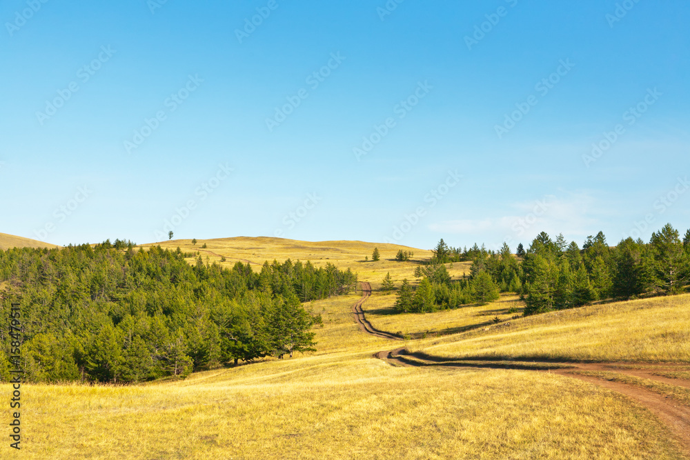 Fototapeta premium Baikal. Typical for Olkhon Island is a steppe landscape with coppices. A dirt road leads to Khoboy cape