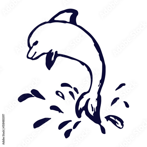 Dolphin vector logo