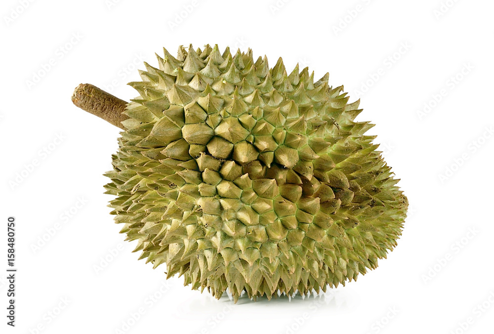 durian close up isolated on white background. durian close up isolated on white background.