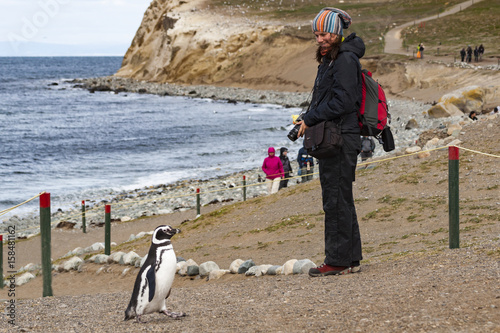 Spotkanie z pingwinem  Isla Magdalena  Chile