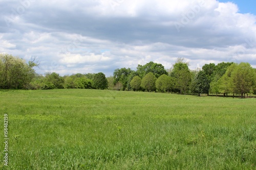 The green grass landscape in the park with the clouds in the sky. 