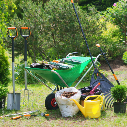 Work in the garden  photo