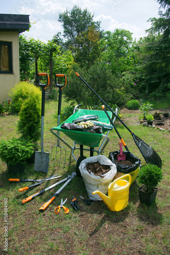 Work in the garden - planting plants