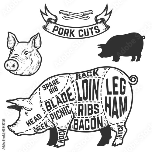 Pork cuts butcher diagram. Design element for poster, menu. Vector illustration