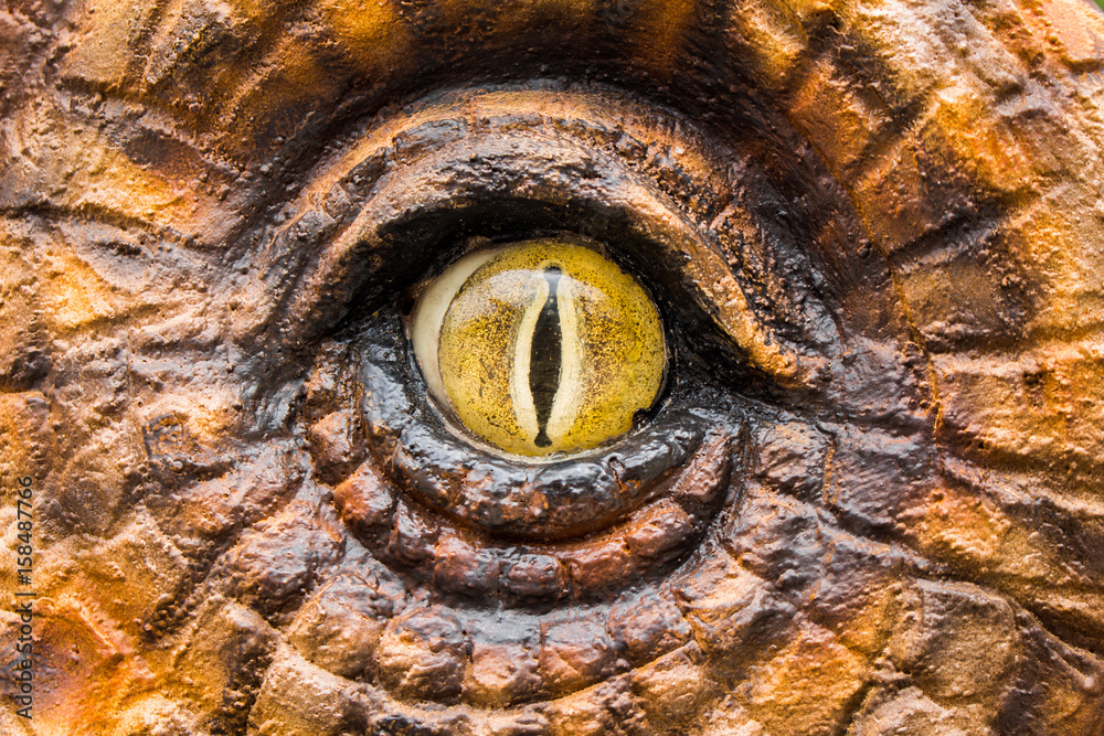 Obraz premium Oczy łowców dinozaurów.
