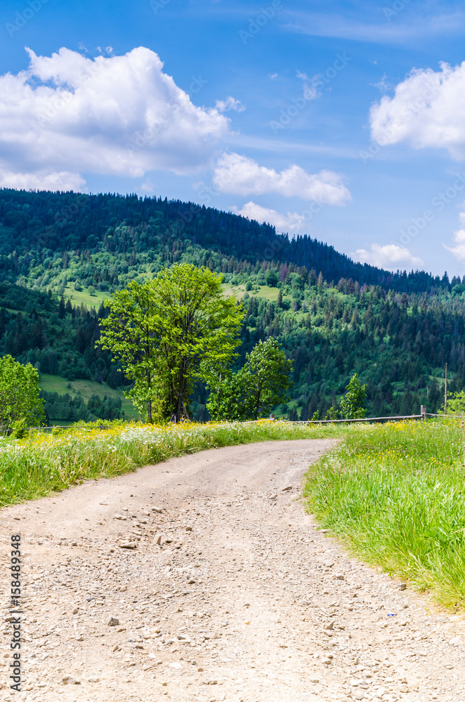 Fototapeta premium Background of Carpathian mountains landscape in Ukraine