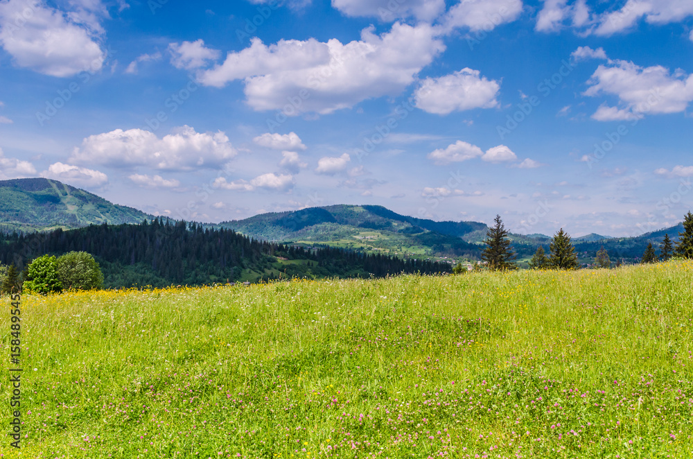 Background of Carpathian mountains landscape in Ukraine Background of Carpathian mountains landscape in Ukraine