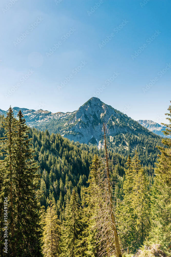 Alpine mountain face with forest below