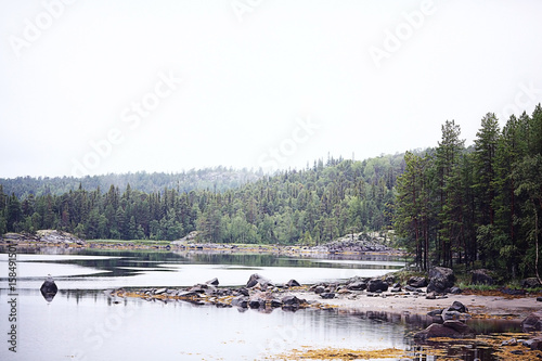 landscape coniferous forest water stones