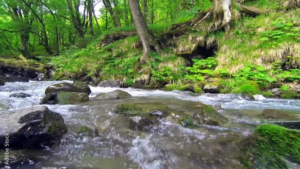 Mountain river flows over rocks in green forest. Mountain river flows over rocks in green forest.
