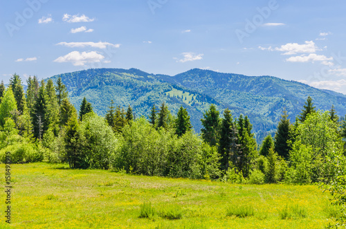 Background of Carpathian mountains landscape in Ukraine