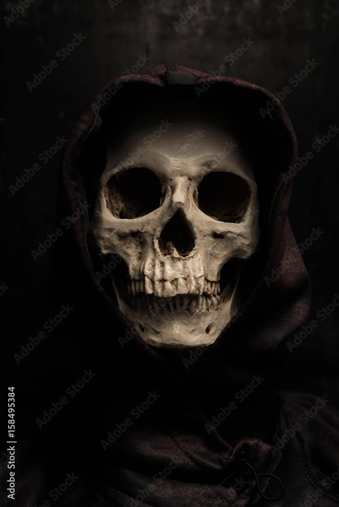 Still life art photography with skull