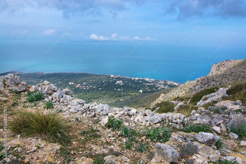 Green spring mountain landscape