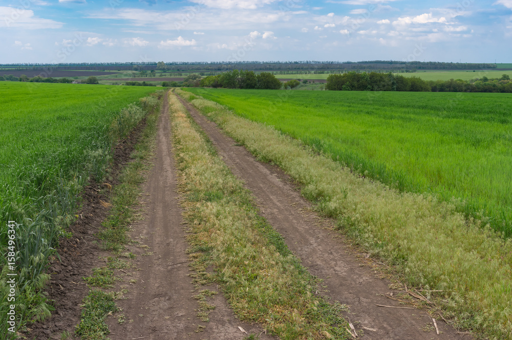 Spring landscape with an earth road among agricultural fields near Dnipro city in central Ukraine