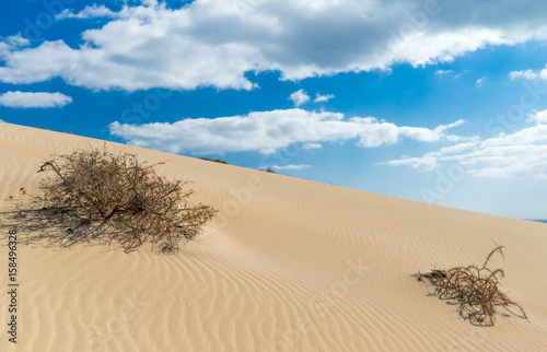 große helle, Sanddüne von Jandia auf Fuerteventura