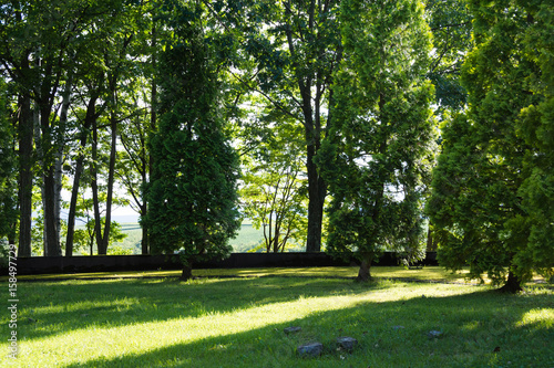 夏の公園 photo