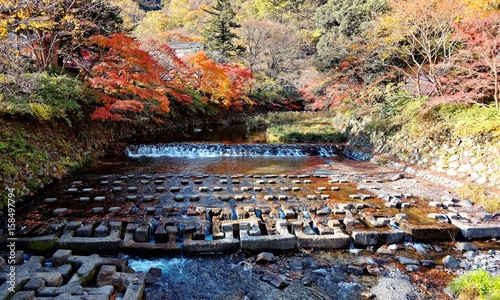 Beautiful scenery of a cascading stream and autumn foliage in the rural area of Kyoto, Japan ~ Scenic view of Japanese countryside in fall season