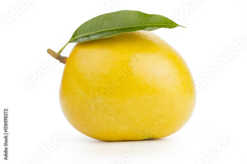 Mango with leaf isolated white background