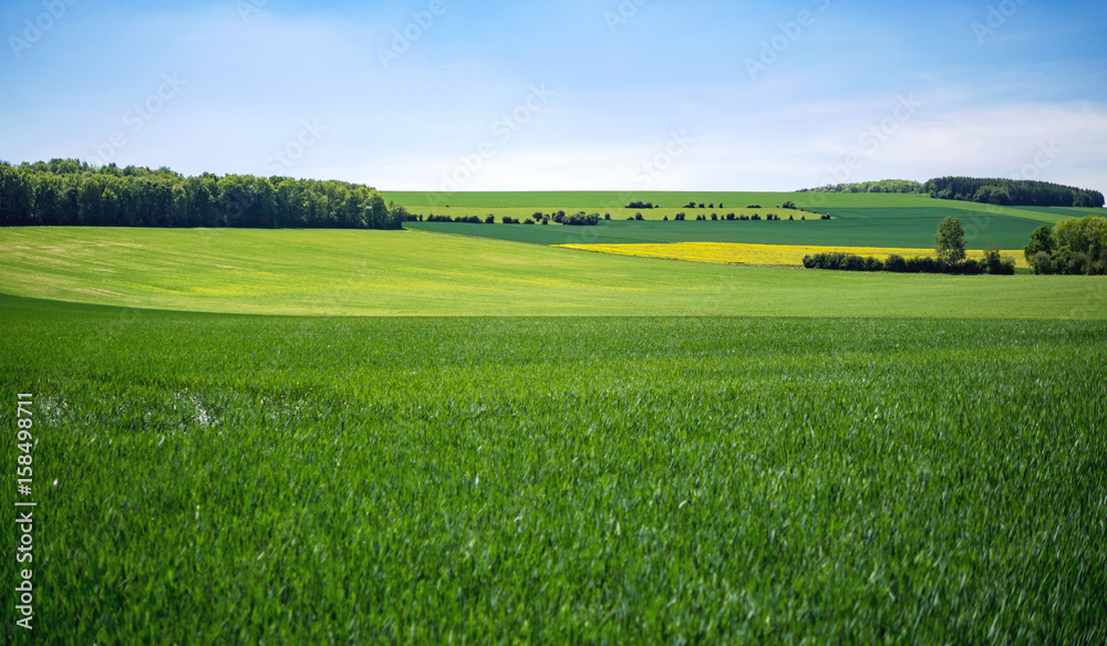 Obraz premium Weite Ebene
