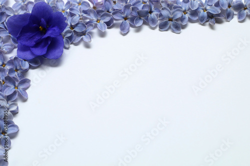 Frame of lilac petals and a large blue flower on a white background