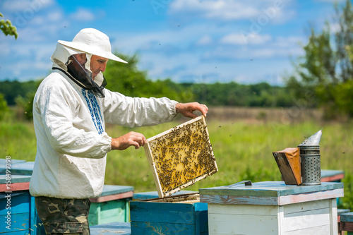 Beekeeper is working with bees and beehives on the apiary. Beekeeper on apiary. © Vadim