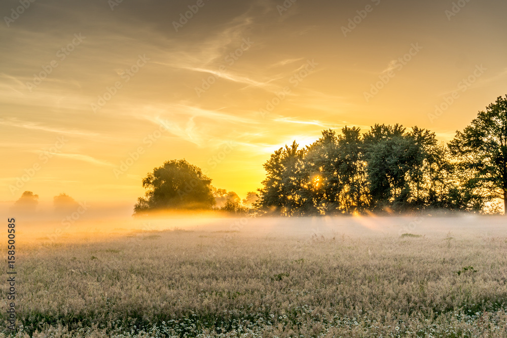 Nature conservation area at sunrise with fog