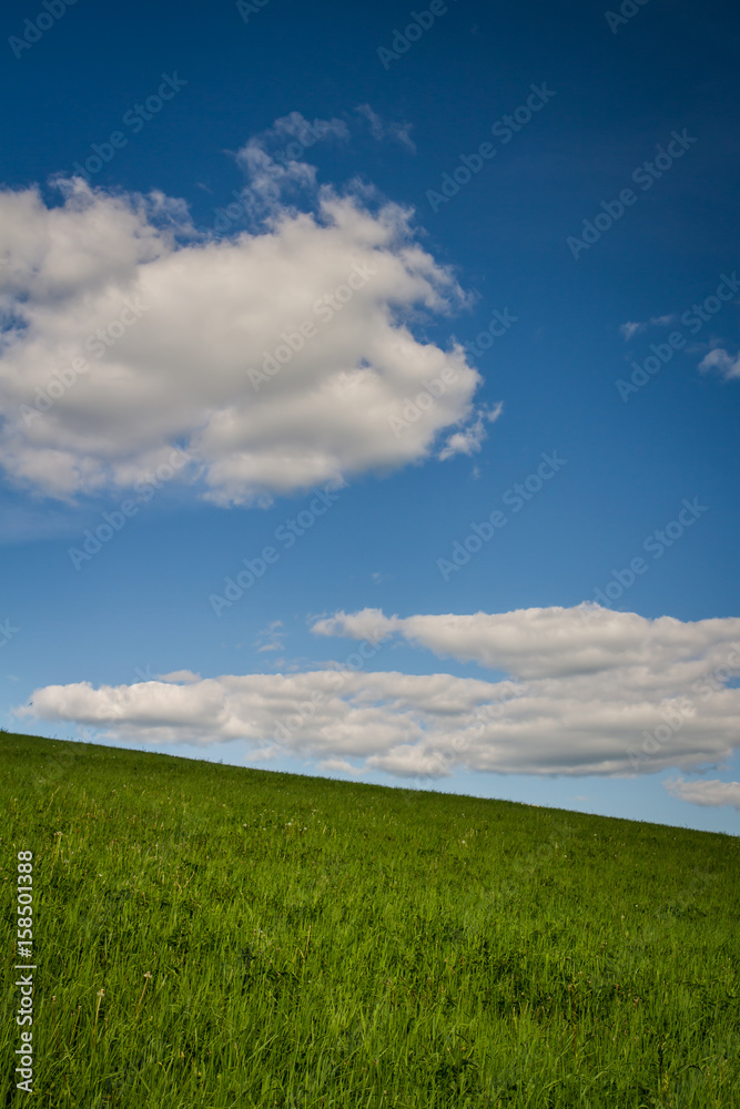 A Lovely Green Hill with deep blue skies  and white clouds .Welcome Summertime!